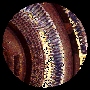 ODRZ06-02 - 2009