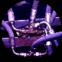 ODRZ06-06 - 2004